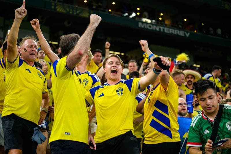 Football. FIFA World Cup 2026. Sweden - Tunisia. 15.06.2026