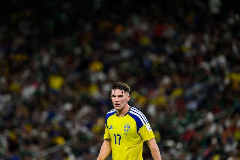 Football. FIFA World Cup 2026. Sweden - Tunisia. 15.06.2026