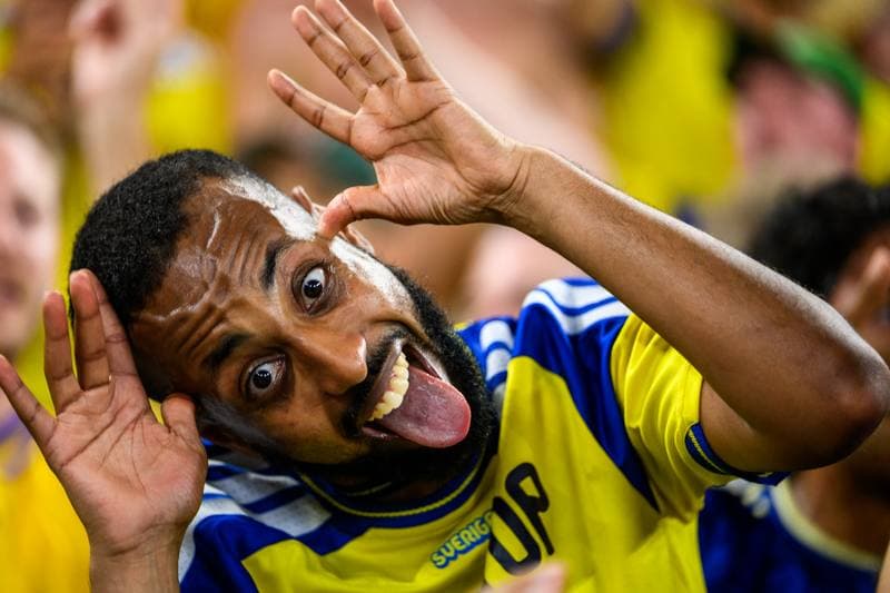 Football. FIFA World Cup 2026. Sweden - Tunisia. 15.06.2026