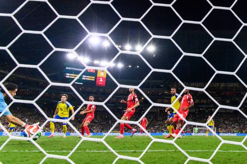 Football. FIFA World Cup 2026. Sweden - Tunisia. 15.06.2026