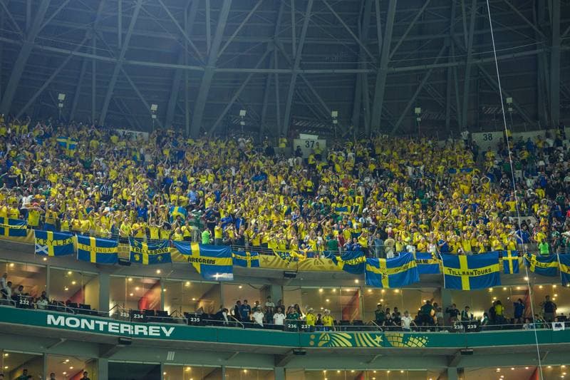Football. FIFA World Cup 2026. Sweden - Tunisia. 15.06.2026