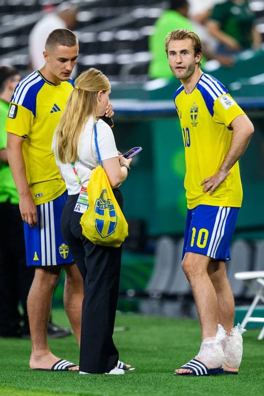 Football. FIFA World Cup 2026. Sweden - Tunisia. 15.06.2026