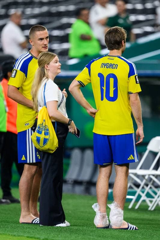 Football. FIFA World Cup 2026. Sweden - Tunisia. 15.06.2026