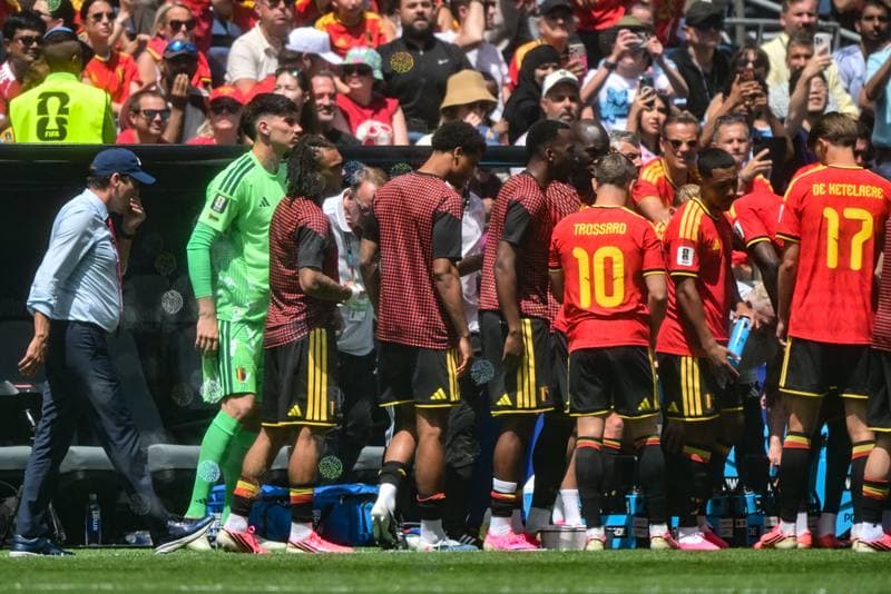 Football. FIFA World Cup 2026. Belgium - Egypt. 15.06.2026