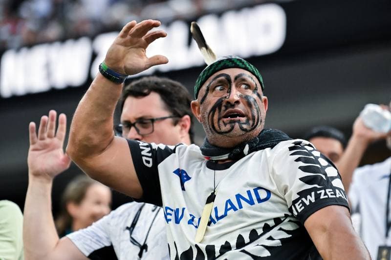 Football. FIFA World Cup. Iran - New Zealand. 15.06.2026