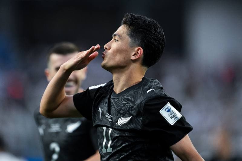 Football. FIFA World Cup. Iran - New Zealand. 15.06.2026