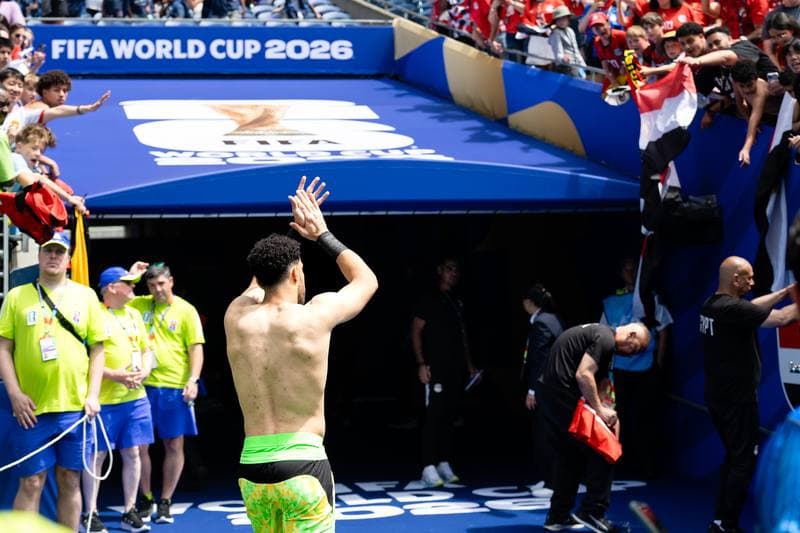 Football. FIFA World Cup 2026. Belgium - Egypt. 15.06.2026