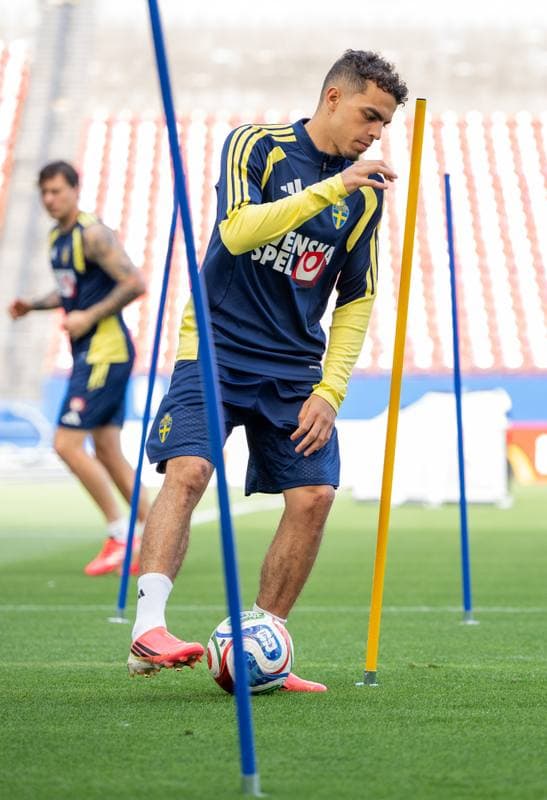 Football. FIFA World Cup 2026. Sweden. Training. 17.06.2026