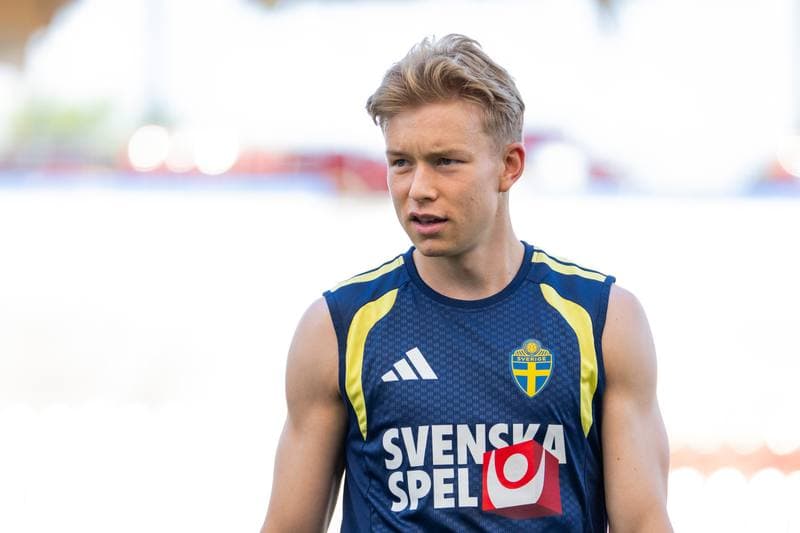 Football. FIFA World Cup 2026. Sweden. Training. 17.06.2026