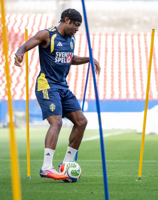 Football. FIFA World Cup 2026. Sweden. Training. 17.06.2026