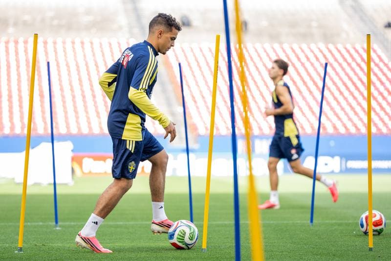 Football. FIFA World Cup 2026. Sweden. Training. 17.06.2026