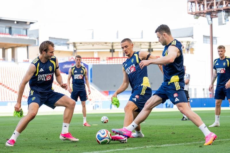 Football. FIFA World Cup 2026. Sweden. Training. 17.06.2026