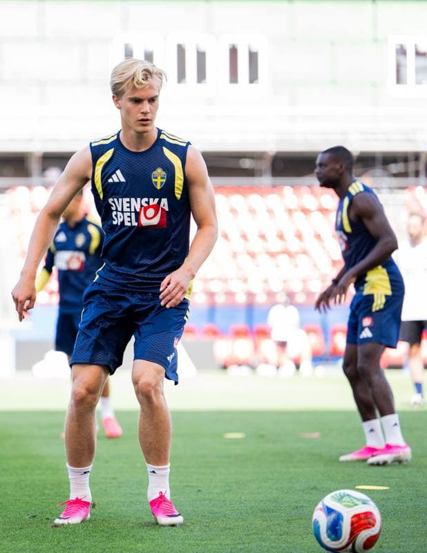 Football. FIFA World Cup 2026. Sweden. Training. 17.06.2026