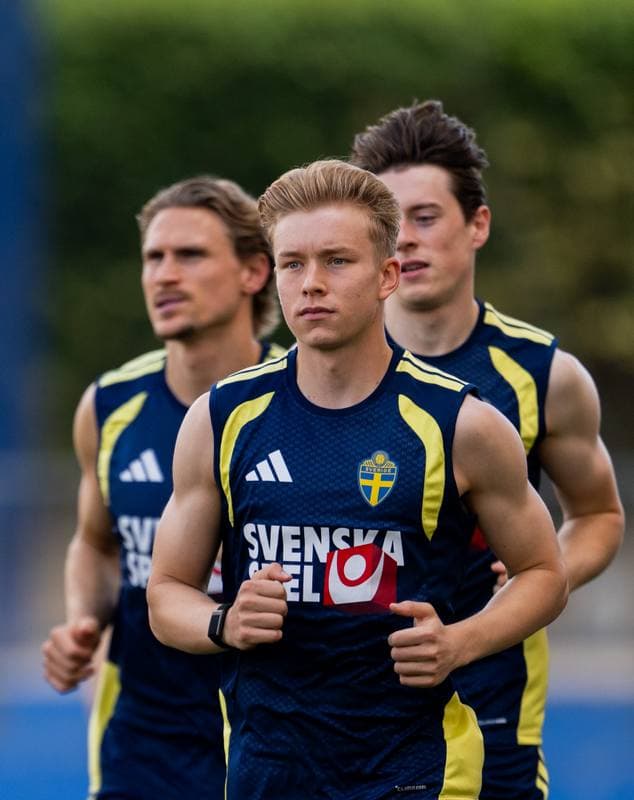 Football. FIFA World Cup 2026. Sweden. Training. 17.06.2026