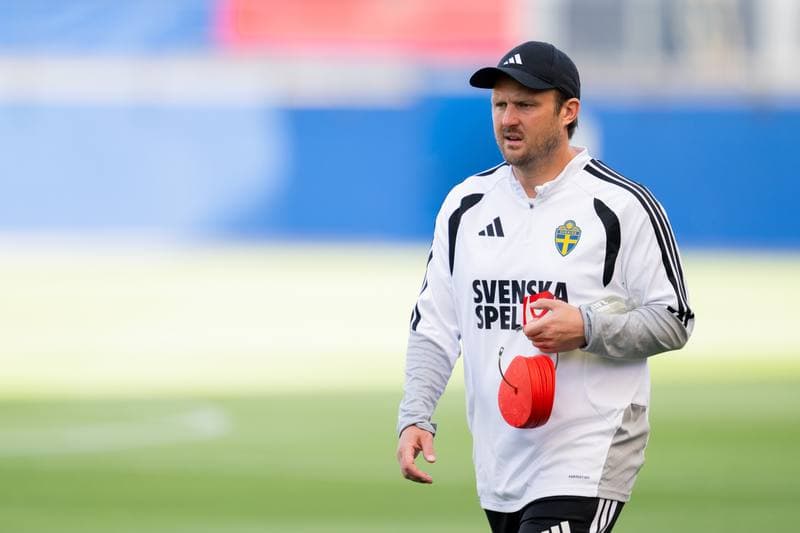 Football. FIFA World Cup 2026. Sweden. Training. 17.06.2026