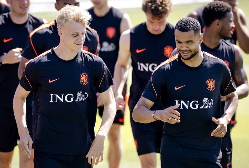 Football. FIFA World Cup 2026. Netherlands. Training. 17.06.2026