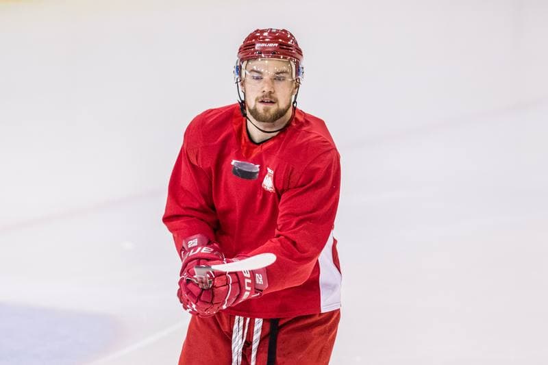 Ice Hockey. Poland national team. Training. 14.12.2020