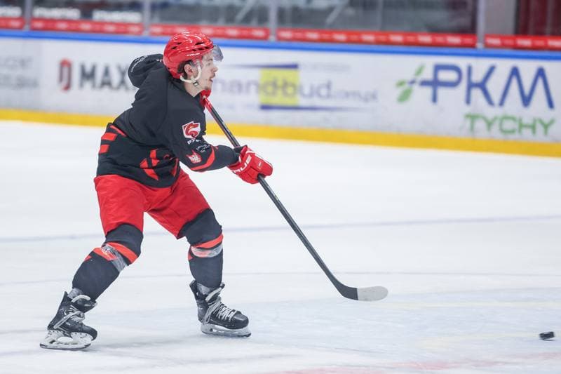 Ice Hockey. Poland national team. Training. 17.04.2023