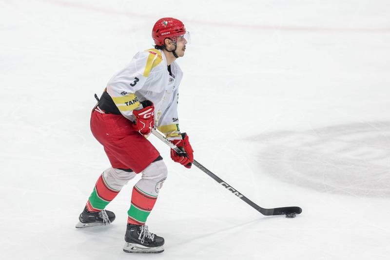 Ice Hockey. Tauron Hokej Liga. Zaglebie Sosnowiec - Marma Ciarko STS Sanok. 26.11.2023