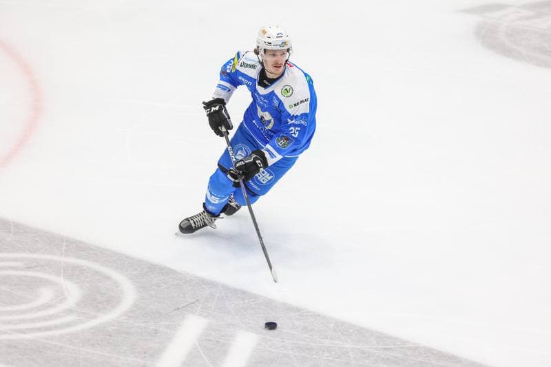 Ice Hockey. Tauron Hokej Liga. Zaglebie Sosnowiec - Re-Plast Unia Oswiecim. 22.12.2023