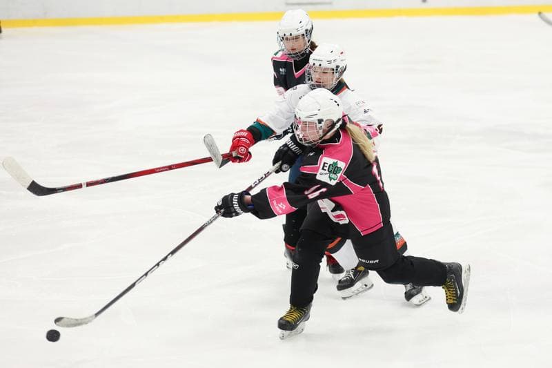 Ice Hockey. Tauron Liga Kobiet. Kojotki Naprzod Janow - Kozice Poznan. 20.01.2024
