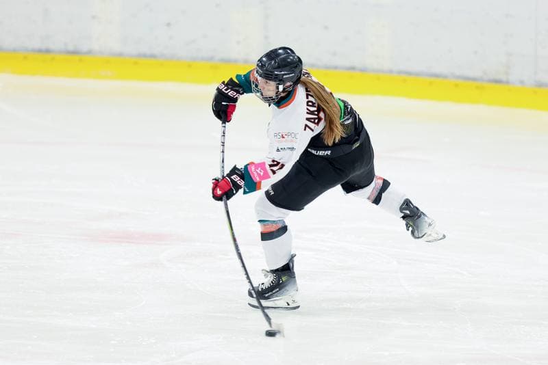 Ice Hockey. Tauron Liga. Kojotki Naprzod Janow - Stoczniowiec Gdansk. 24.02.2024