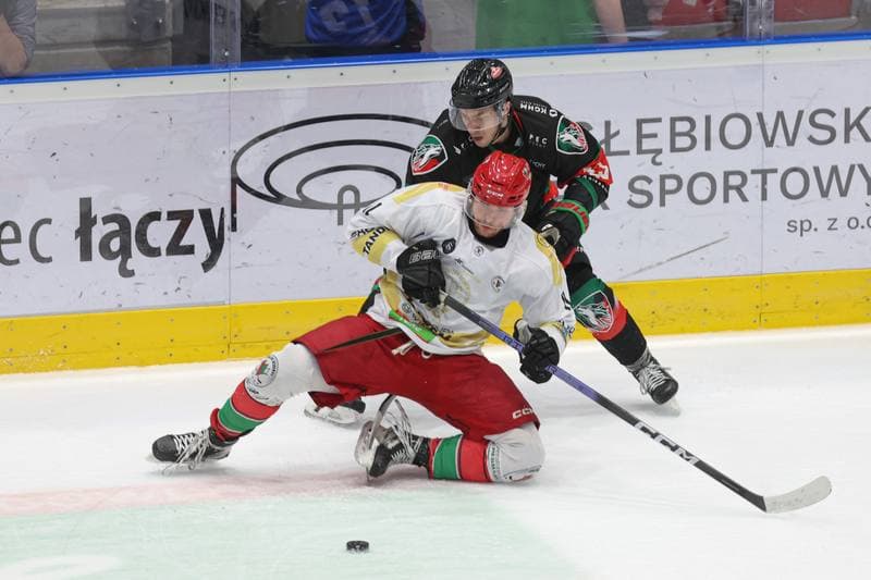 Ice Hockey. Tauron Hokej Liga. Zaglebie Sosnowiec - GKS Tychy. 27.02.2024