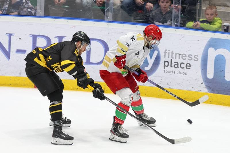 Ice Hockey. Tauron Hokej Liga. Zaglebie Sosnowiec - GKS Katowice. 12.03.2024