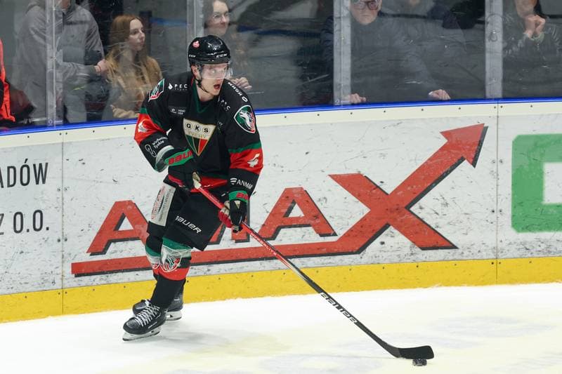Ice Hockey. Tauron Hokej Liga. Re-Plast Unia Oswiecim - GKS Tychy. 24.03.2024