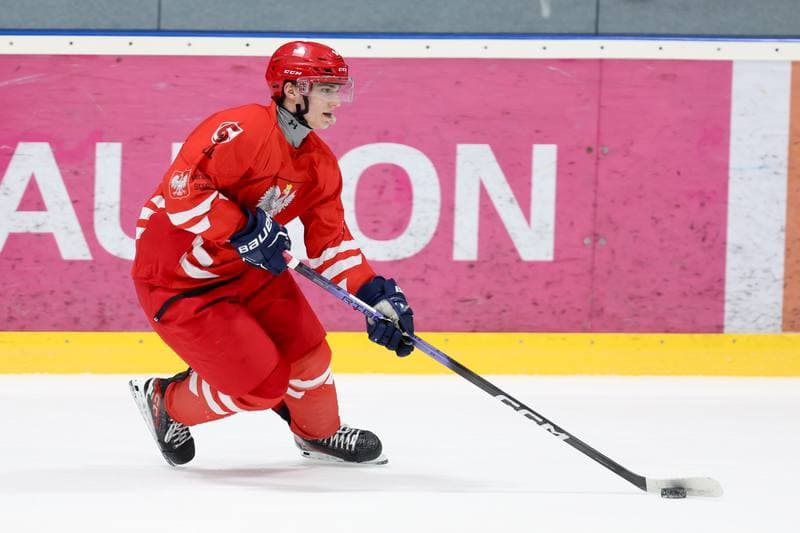 Ice Hockey. Poland national team. Training. 02.04.2024