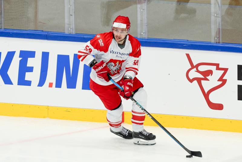 Ice Hockey. Friendly Match. Poland - Hungary. 12.04.2024