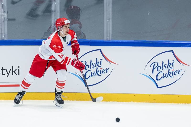 Ice Hockey. Friendly Match. Poland - Hungary. 12.04.2024