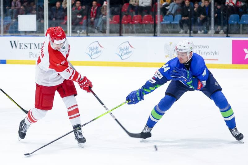 Ice Hockey. Friendly Match. Poland - Slovenia. 18.04.2024