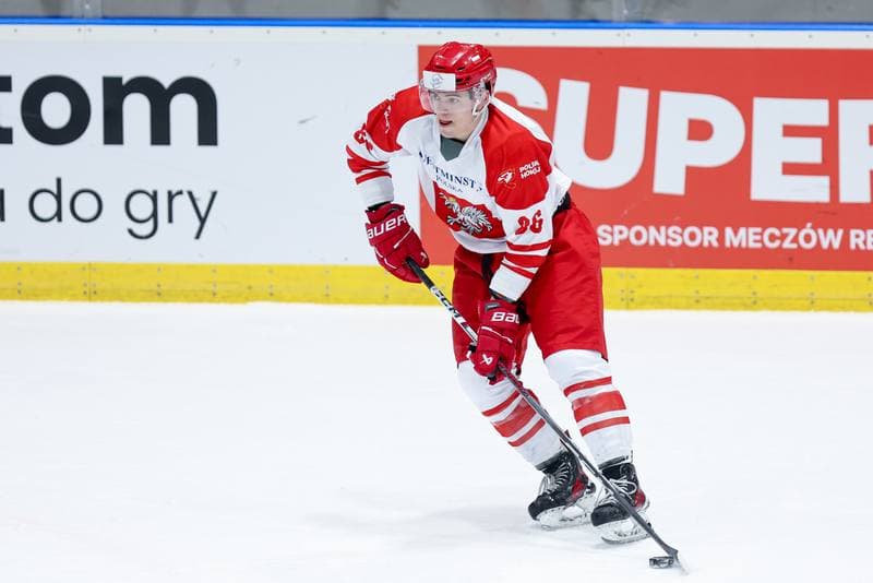 Ice Hockey. Friendly Match. Poland - Slovenia. 18.04.2024