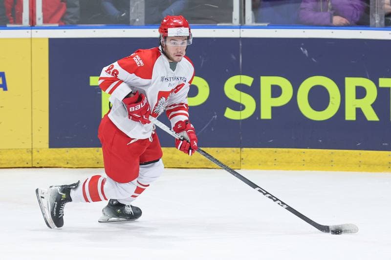 Ice Hockey. Friendly Match. Poland - Slovenia. 18.04.2024