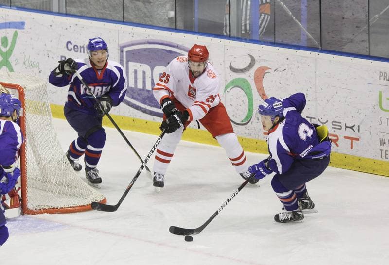 Ice Hockey. Poland national team. Press Conference. 07.02.2013