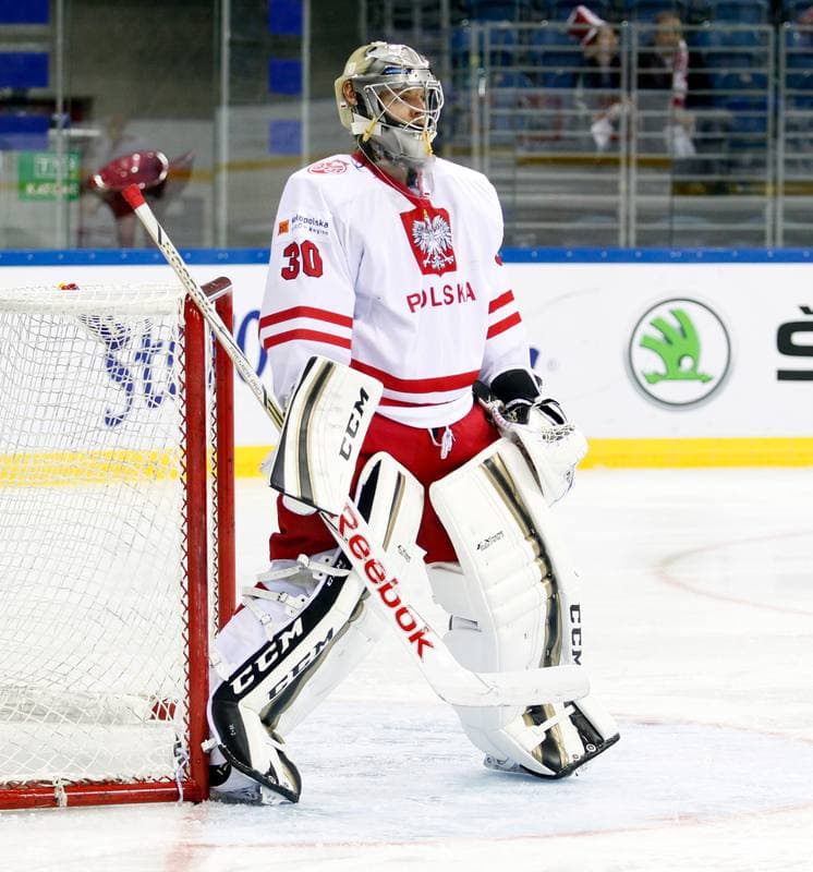 Ice Hockey. IIHF World Championship Division 1A. Poland - Ukraine. 22.04.2015