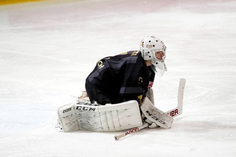 Ice Hockey. Tauron Hokej Liga. Tauron KH GKS Katowice - Comarch Cracovia. 17.01.2019