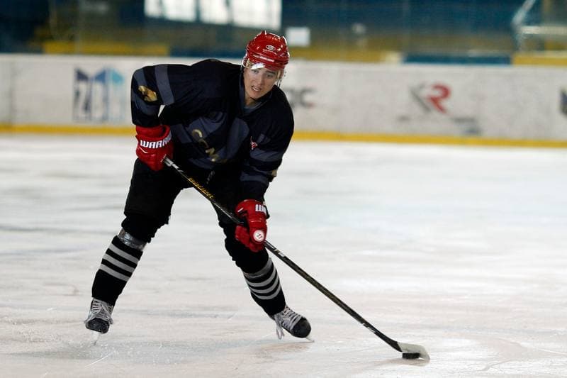 Ice Hockey. Sparing. Polonia Bytom - Comarch Cracovia. 15.08.2017