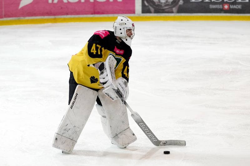 Ice Hockey. Tauron Hokej Liga. Tauron KH GKS Katowice - Comarch Cracovia. 17.01.2019