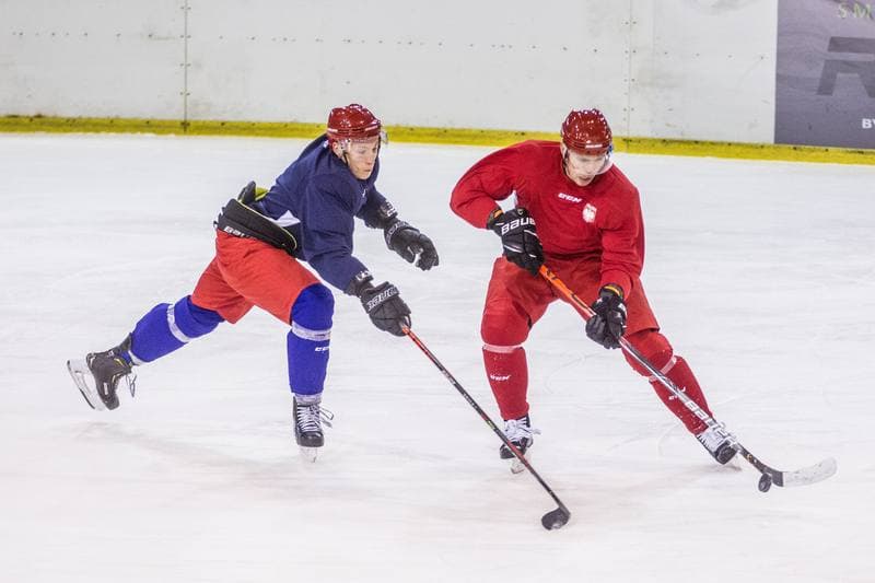 Ice Hockey. Poland national team. Training. 14.12.2020