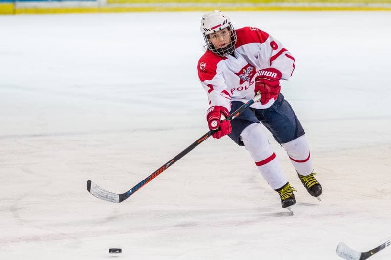 Ice Hockey. EWHL. Silesia Breckens - Hvidovre IK Selects. 01.12.2019