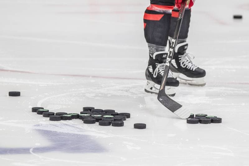Ice Hockey. Poland national team. Training. 11.05.2021