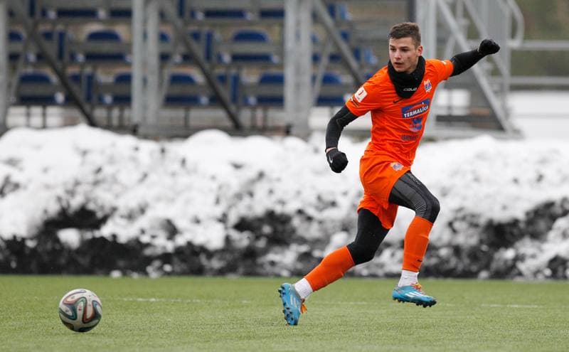 Football. Friendly Match. Termalica Bruk Bet Nieciecza - Odra Opole. 30.01.2015