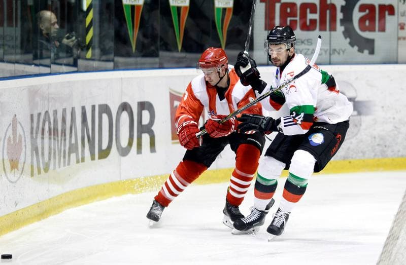 Ice Hockey. Polska Hokej Liga. GKS Tychy - Comarch Cracovia Krakow. 30.01.2015