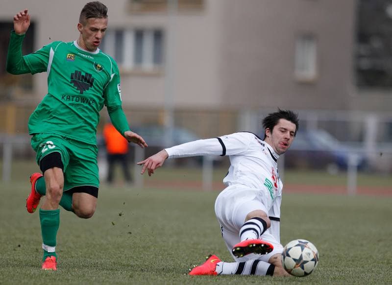 Football. Friendly Match. FC Hradec Kralove - GKS Katowice. 14.02.2015