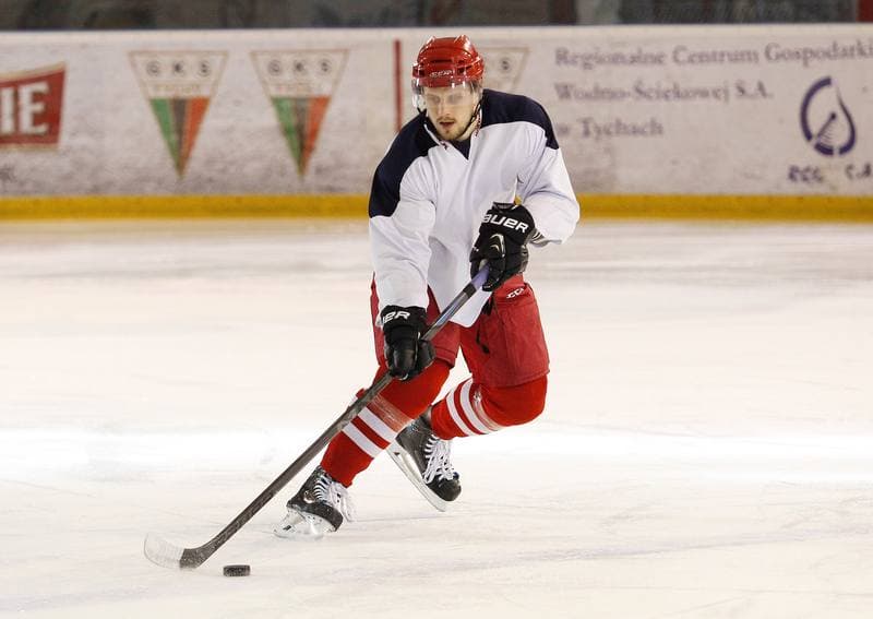 Ice Hockey. Poland national team. Training. 14.04.2015
