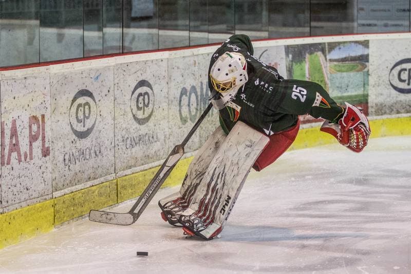 Ice Hockey. PHL. Comarch Cracovia - GKS Tychy. 15.03.2021