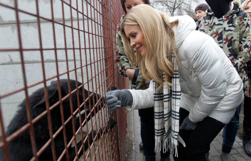 Joanna Krupa. Animal Shelter. Visit. 30.11.2013