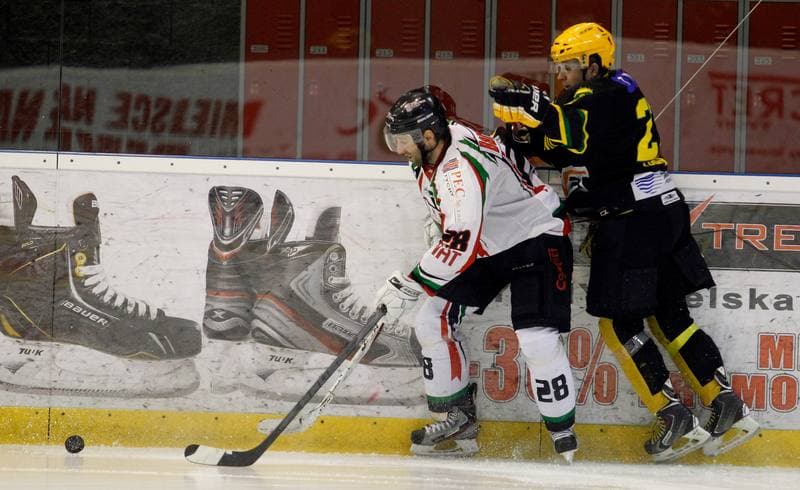 Ice Hockey. Polska Hokej Liga. GKS Tychy - HC GKS Katowice. 18.02.2014